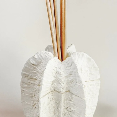 Difusor de aroma branco com varetas de madeira