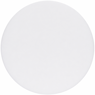 Disco branco redondo liso sobre fundo branco