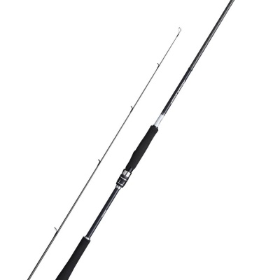 Cana de pesca cinzento escuro com cabo preto em duas partes