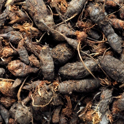 Tubérculos secos castanhos escuros com caules