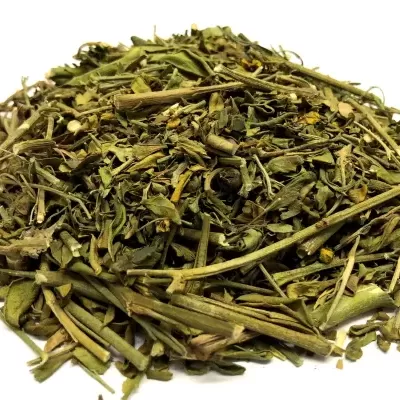 Ervas secas variadas verdes com caules e flores amarelas sobre fundo branco