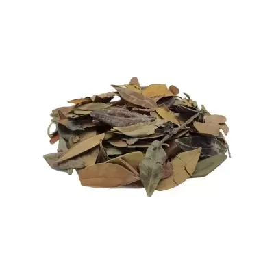 Pilha de folhas secas castanho e verde sobre fundo branco