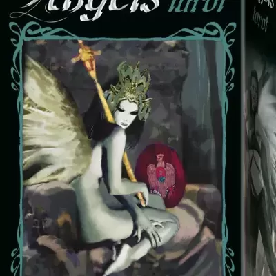 Caixa do baralho Dark Angels tarot com anjo cinza e asas douradas