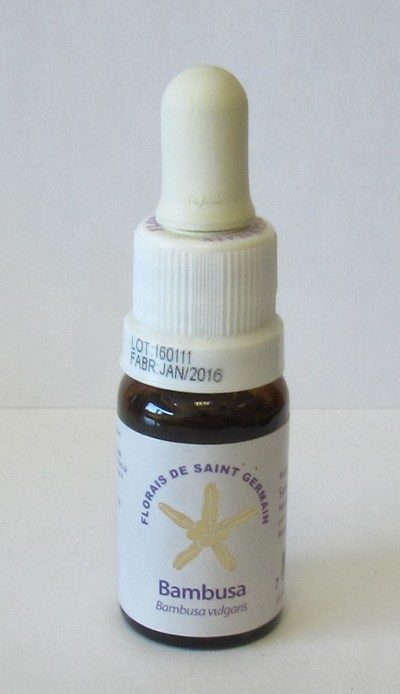 Frasco pequeno de vidro com conta-gotas e rótulo de florais bambusa