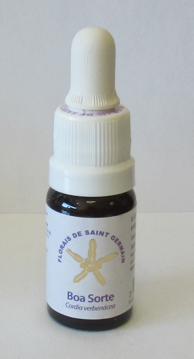 Frasco pequeno com conta-gotas e rótulo branco com texto roxo e dourado