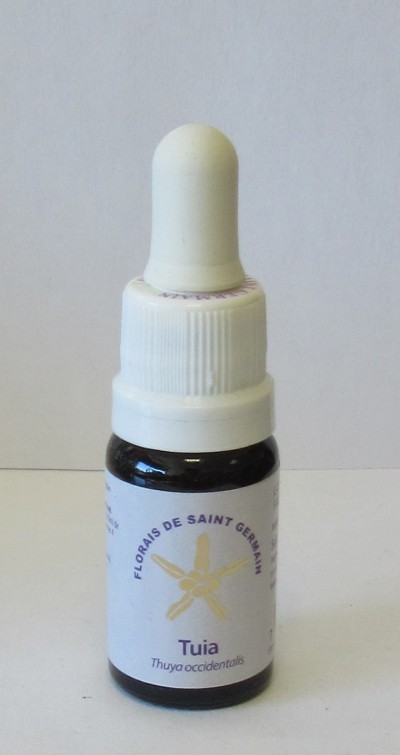 Frasco pequeno com conta-gotas Tuia Florais de Saint Germain