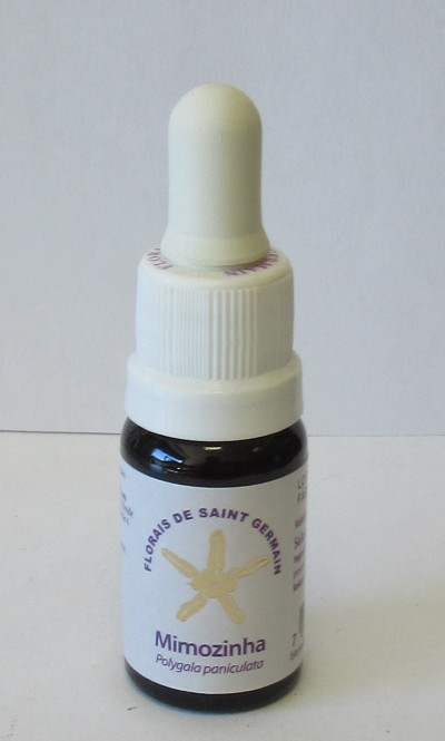 Frasco pequeno de florais de Saint Germain Mimozinha com conta-gotas branco.