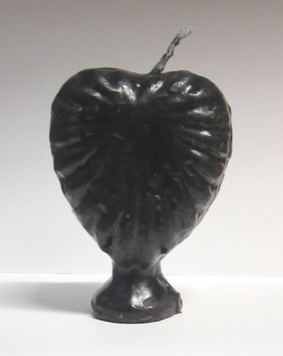 Objeto preto em forma de folha sobre superfície branca