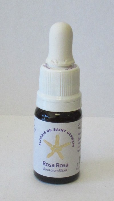 Frasco pequeno com conta-gotas de florais Rosa Rosa