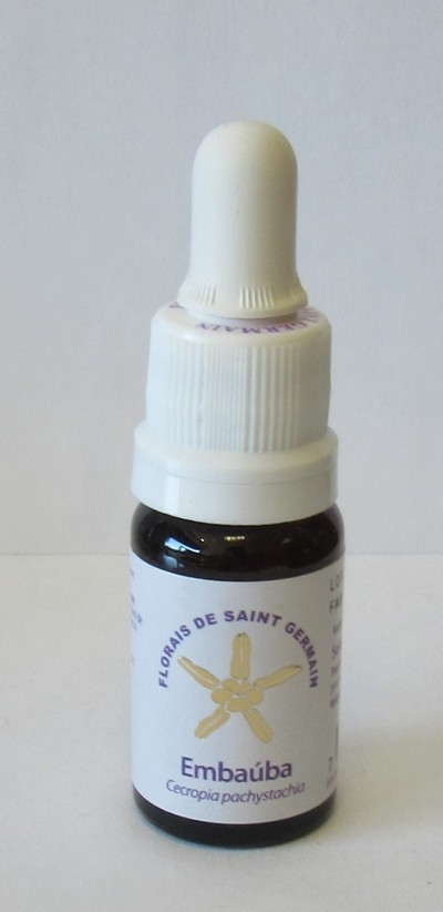 Frasco pequeno de vidro escuro com tampa conta-gotas branca e rótulo branco com texto e ilustração