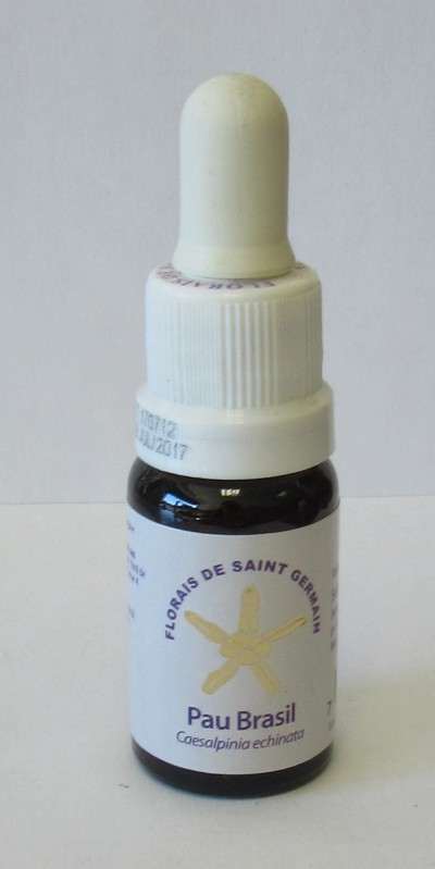 Frasco pequeno de vidro escuro com conta-gotas branco e rótulo com texto FLORAIS DE SAINT GERMAIN, Pau Brasil