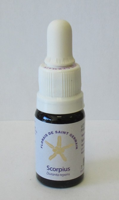 Frasco pequeno com conta-gotas e rótulo branco de florais de Saint Germain Scorpius