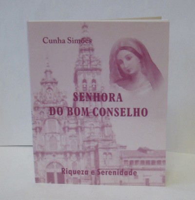 Capa de livro rosa com imagem de edifício antigo e figura feminina