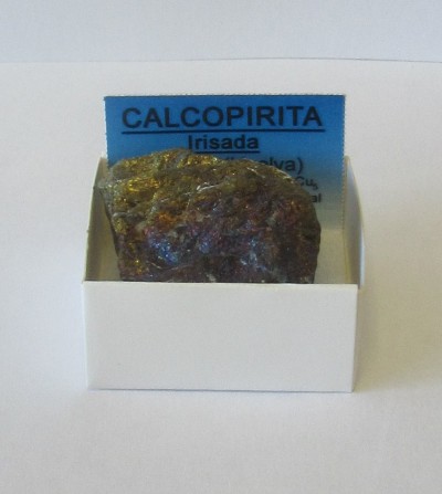Amostra de calcopirita iridescente numa caixa branca com cartão azul