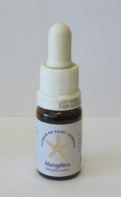 Frasco pequeno de florais Mangifera com conta-gotas branco