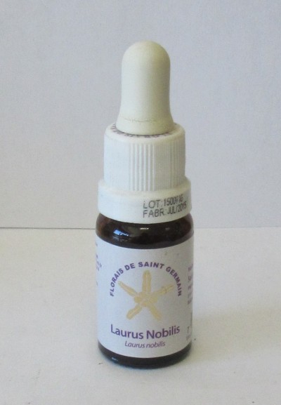 Frasco pequeno com conta-gotas e etiqueta de florais de Saint Germain Laurus Nobilis