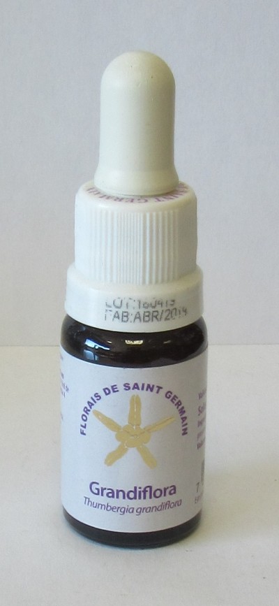 Frasco pequeno de florais com conta-gotas e etiqueta branca e roxa