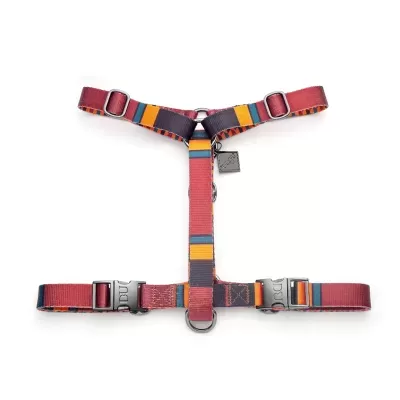 Arnês para cão colorido com fivelas metálicas
