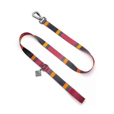 Trela para cão em tecido com padrão de riscas coloridas e fecho metálico