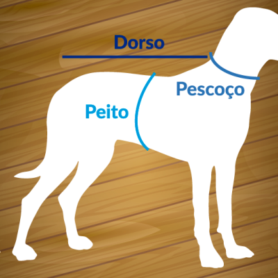Ilustração de um cão branco com indicações de medidas para dorso, pescoço e peito