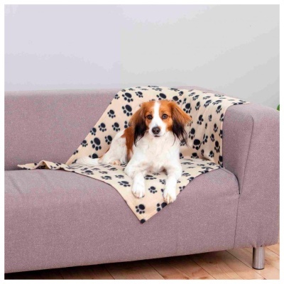 Cão deitado sobre manta bege com patas pretas num sofá cinza claro.