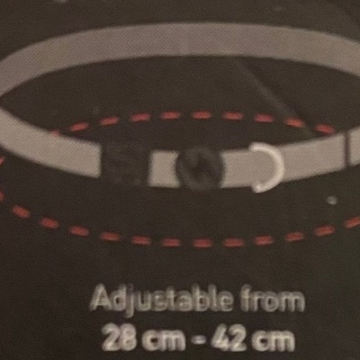 cinto cinza ajustável com fivela