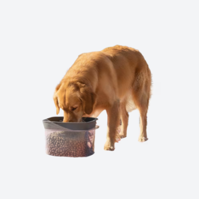 Cão comendo ração de tigela transparente com tampa cinzenta
