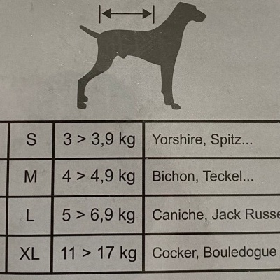 Tabela de tamanhos para cães com medidas, pesos e raças exemplares