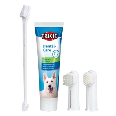 Kit de cuidado dentário para cães com pasta de dentes e várias escovas brancas.