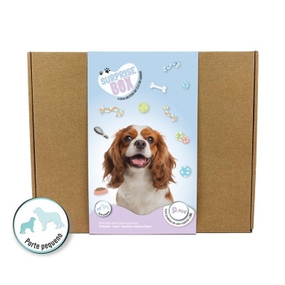 Caixa surpresa para cães pequenos com brinquedos e snacks