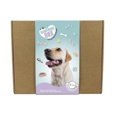 Caixa de cartão com rótulo de surpresa para cães mostrando um Labrador e preço 9,90€.