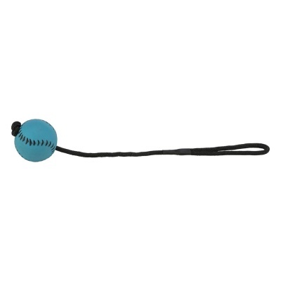 Brinquedo para cães com bola azul e corda preta