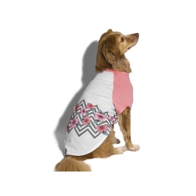 Cão com t-shirt branca e rosa com padrão de flores cor-de-rosa e padrão geométrico