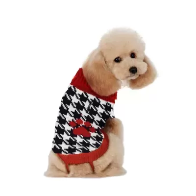 Cão pequeno com camisola de malha preto, branco e vermelho com pata vermelha