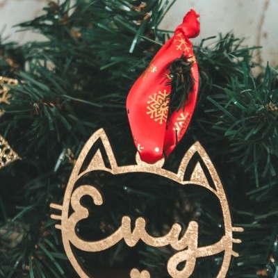 Ornamento dourado em forma de cabeça de gato com a palavra 'Evy' pendurado em fita vermelha com flocos de neve sobre ramo de árvore de Natal.