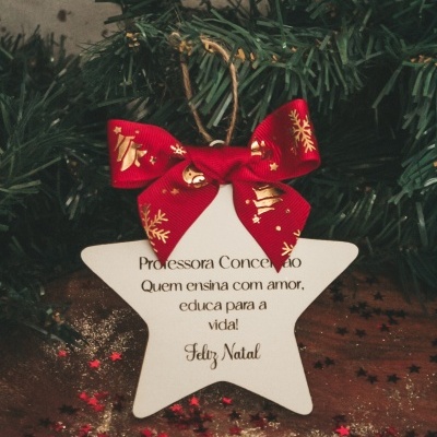 https://www.pimentarosalove.com/product/estrela-de-natal-professora