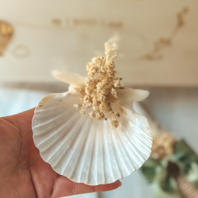 Concha branca decorativa com flores secas e fundo desfocado com letras douradas