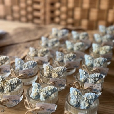 Caixas transparentes com borboletas decorativas azuis e brancas e etiquetas MARIA CLARA