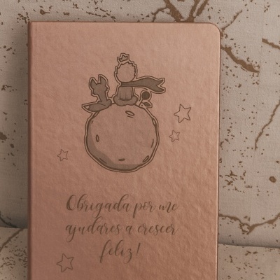 https://www.pimentarosalove.com/product/bloco-de-notas-principezinho-rosa