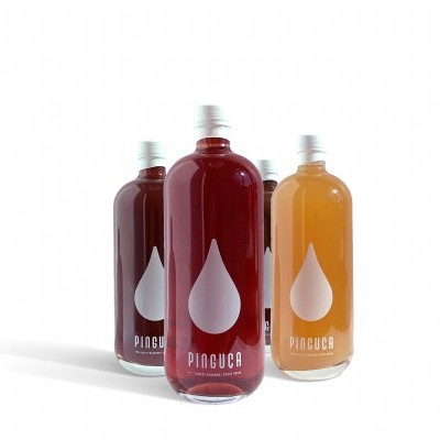 Quatro garrafas de vidro com líquido colorido e rótulos PINGUCA