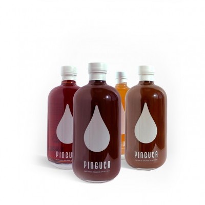 Quatro garrafas transparentes de sumos coloridos com rótulo PINGUCA