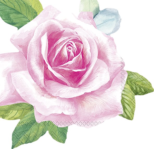 Guardanapos de papel em forma de rosa - IHR Rosa cor-de-rosa com folhas verdes sobre fundo branco