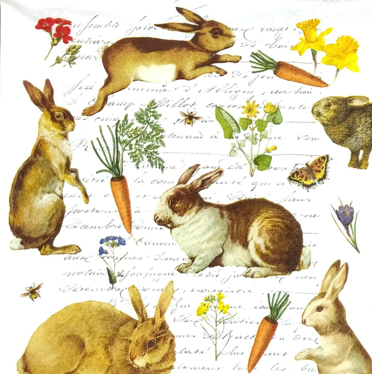 Guardanapos de papel Coelhos e cenouras - IHR Ilustrações de coelhos, cenouras, flores, borboletas e abelhas sobre fundo branco com texto manuscrito