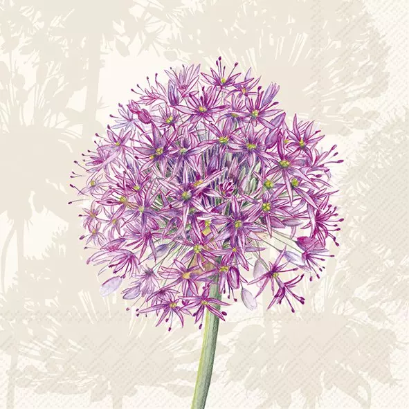 Guardanapos de papel Dente-de -leão lilás - Cocktail - IHR Ilustração de flor cor-de-rosa e roxa com caule verde sobre fundo claro