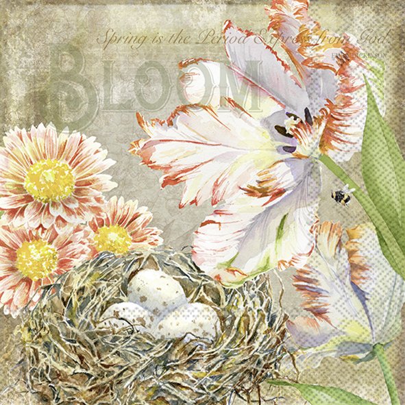 Guardanapos de papel ninho entre flores - IHR Ilustração de flores, ninho com ovos e texto decorativo sobre primavera.