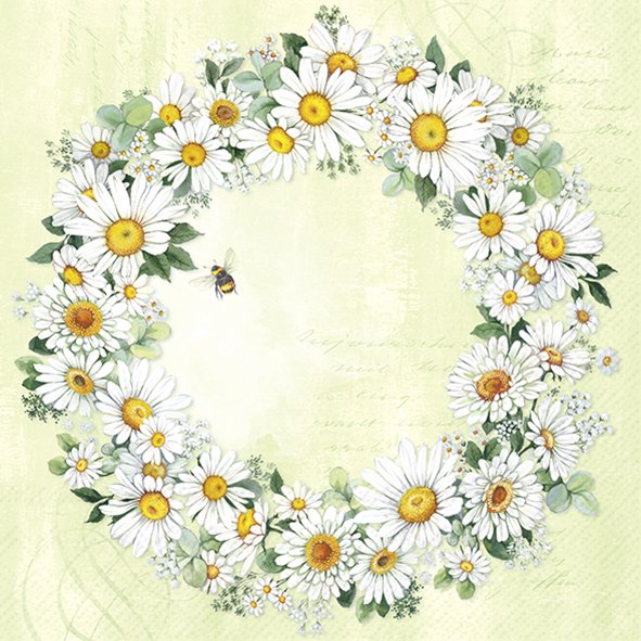 Guardanapos de papel coroa de margaridas com abelha - IHR Coroa circular de flores margaridas brancas e verde, com uma abelha, fundo verde claro
