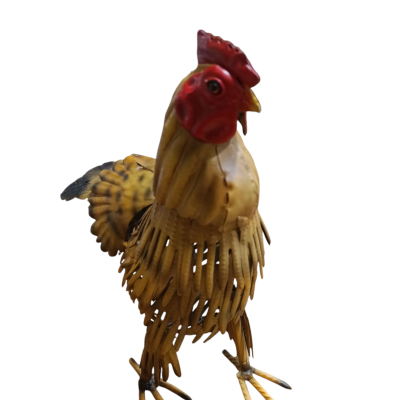 https://www.pinheirobravo.pt/product/galo-galinha-decorativa-em-metal-21-11-28cm