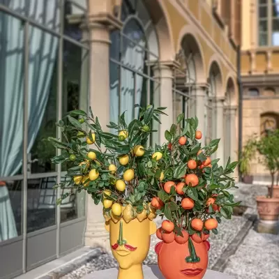 Dois vasos decorativos em forma de cabeça humana, amarelo e laranja, com plantas e frutos, numa mesa num pátio