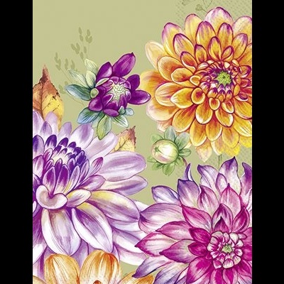 https://www.pinheirobravo.pt/product/guardanapos-retangulares-de-papel-dalias-coloridas-33x42cm-ihr
