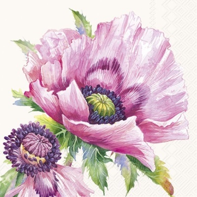 https://www.pinheirobravo.pt/product/guardanapos-de-papel-papoilas-rosas-cocktail-ihr